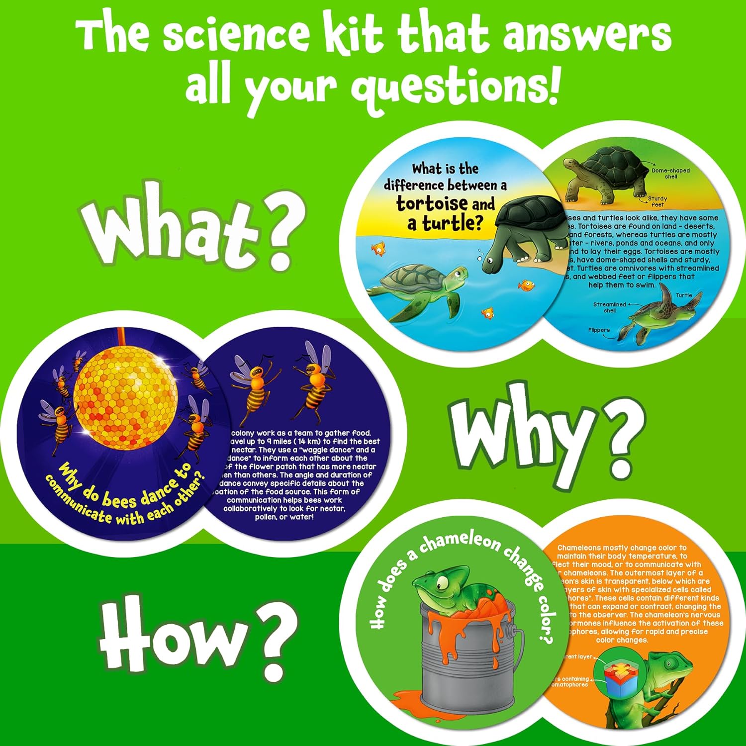 Science Snippets All About Animals