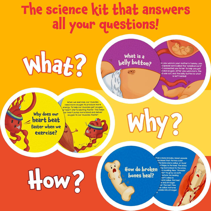 Science Snippet Human Body