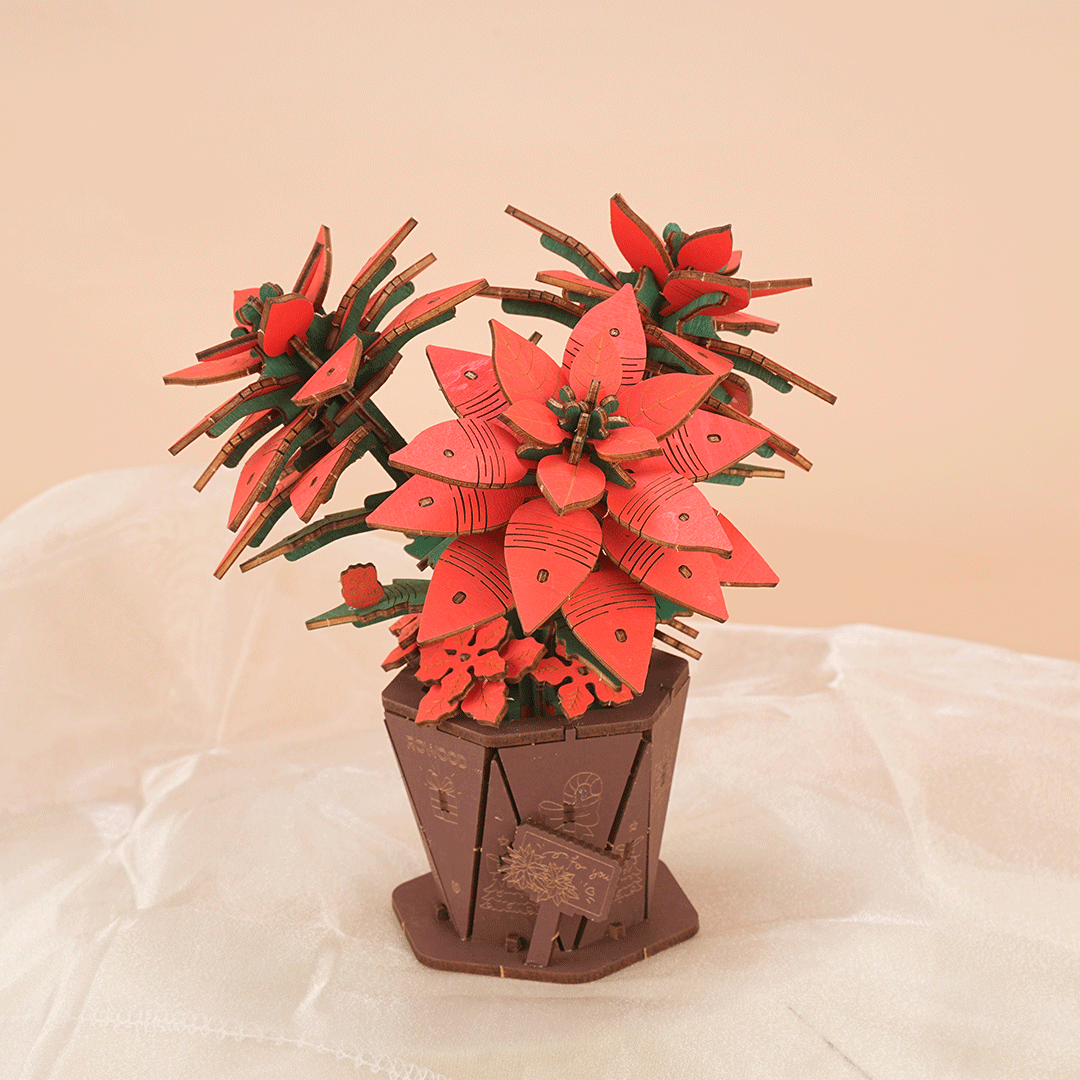 Rowood Poinsettia Wooden Flower Model Kit