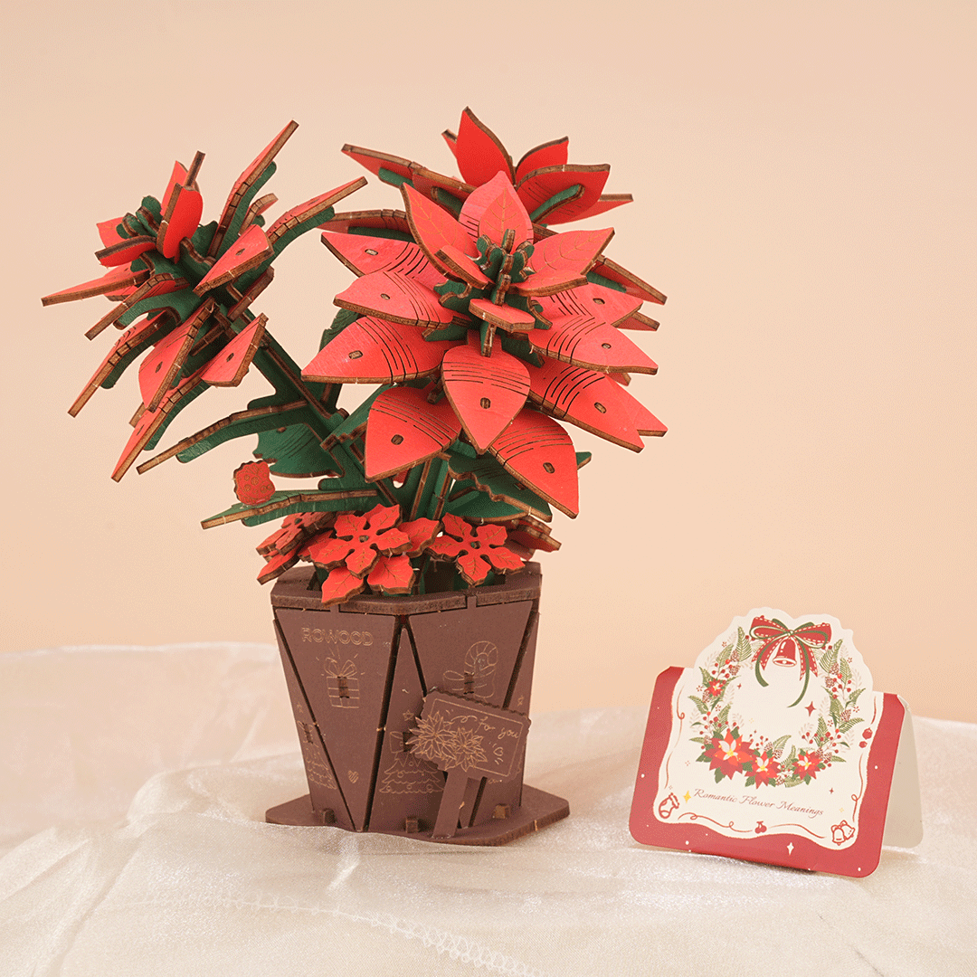 Rowood Poinsettia Wooden Flower Model Kit