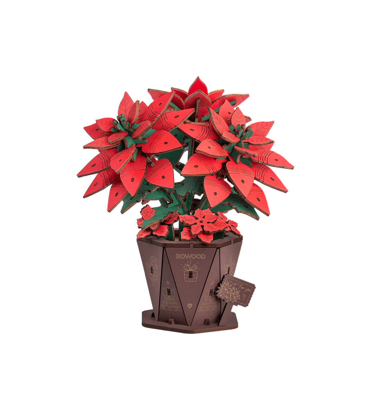 Red potted plant with a brown pot on a white background