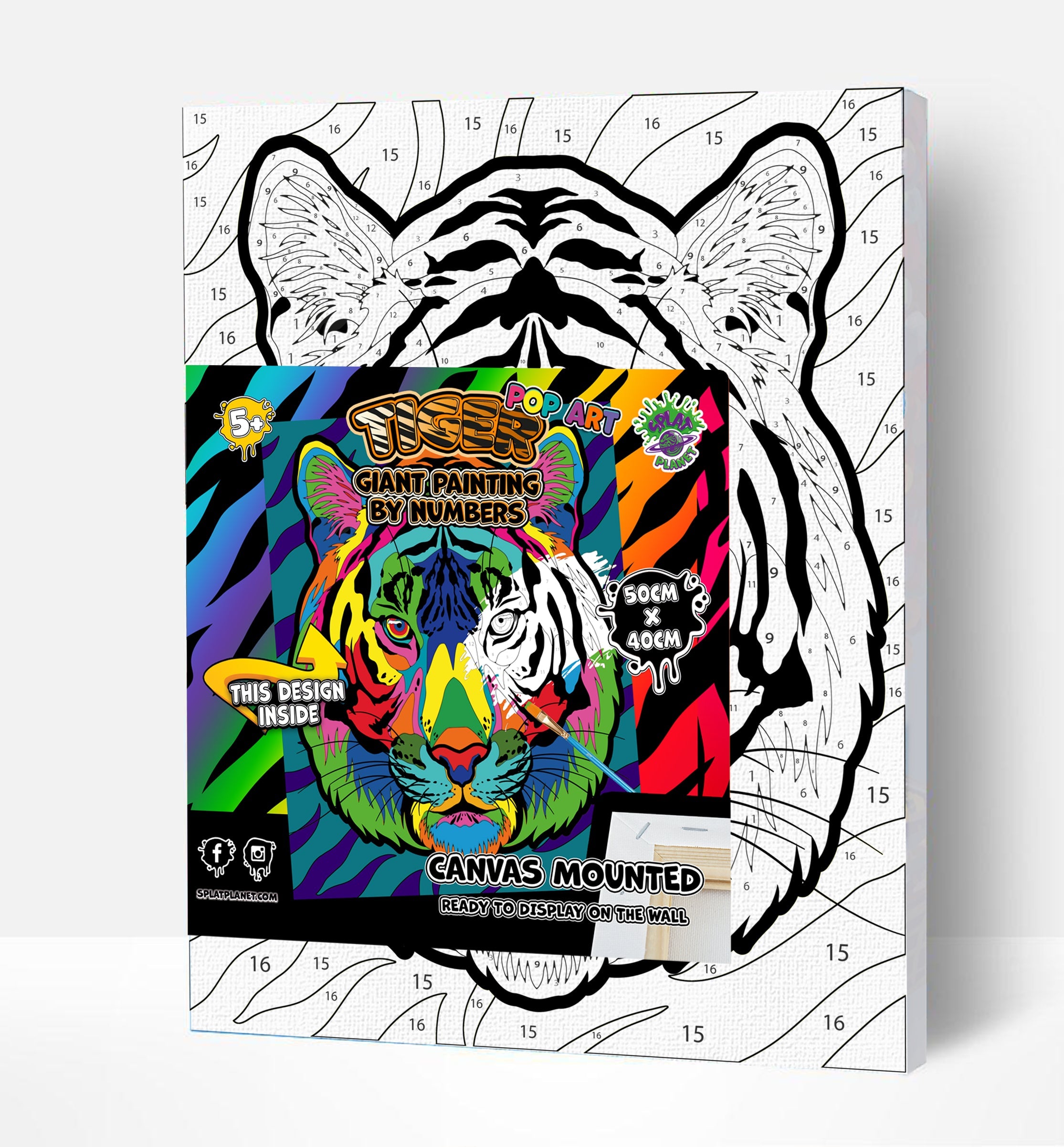 Tiger Paint By Numbers