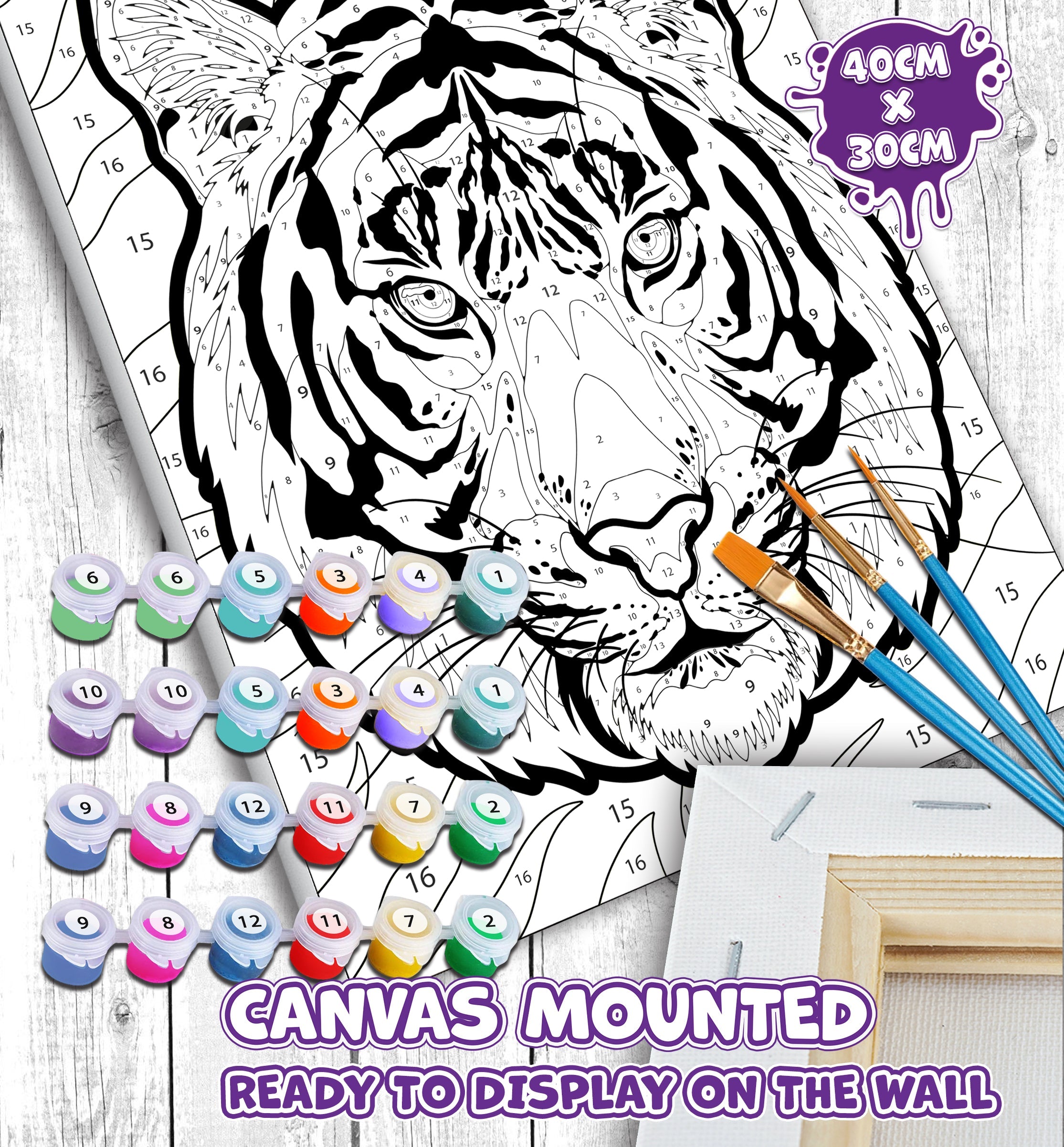Tiger Paint By Numbers