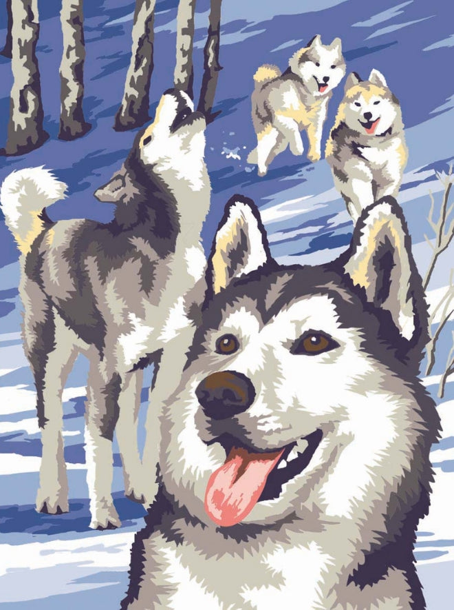 Junior Painting by Numbers Pairs Winter Wildlife