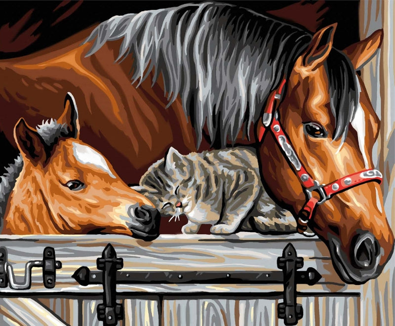 Senior Painting By Numbers Stable Door Trio