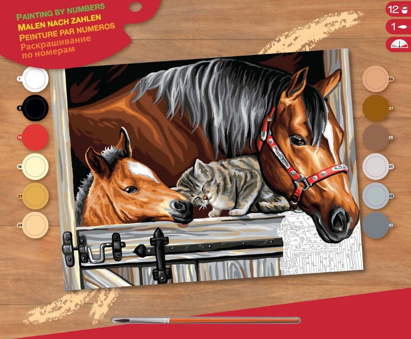 Senior Painting By Numbers Stable Door Trio