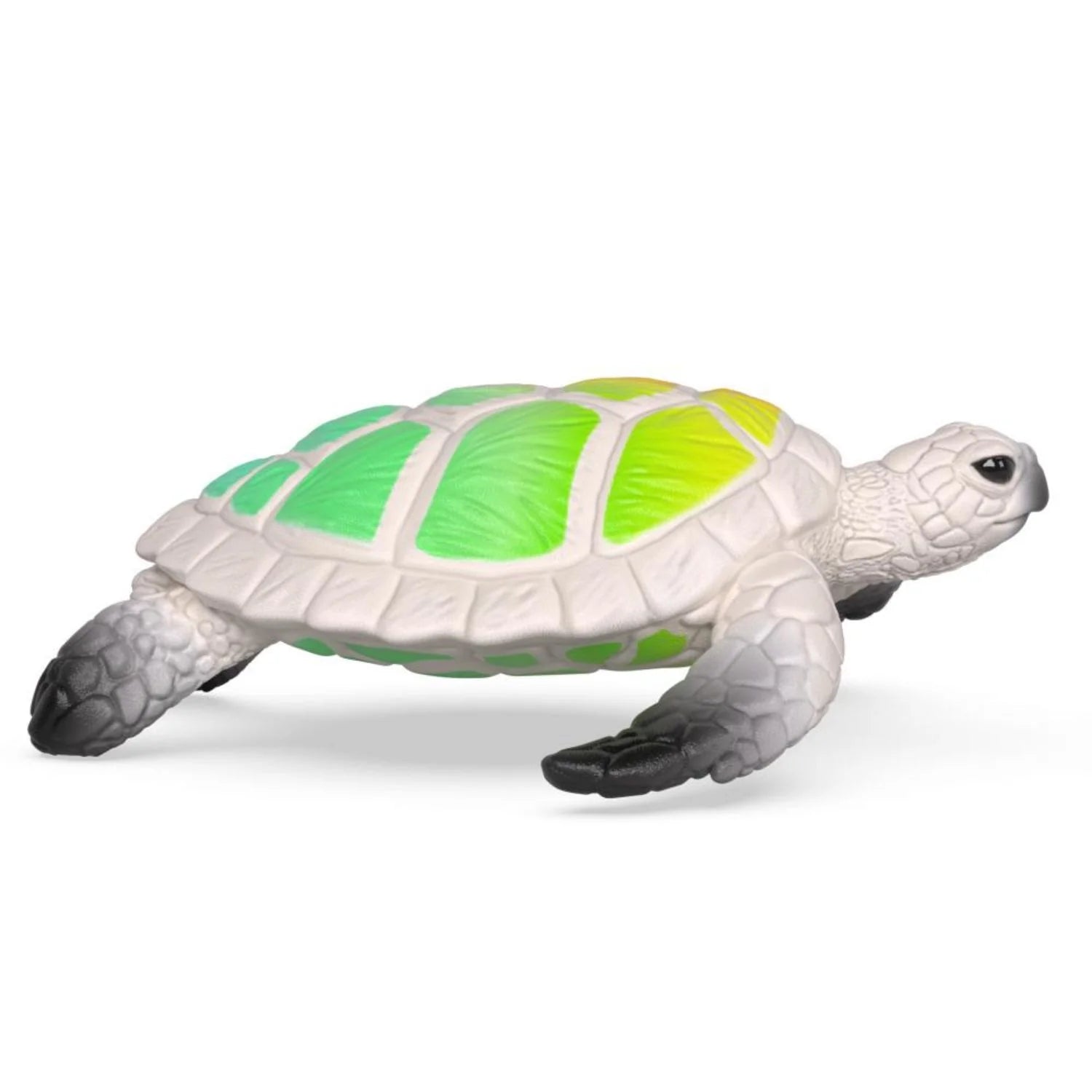 90 Year Edition Hawksbill Sea Turtle