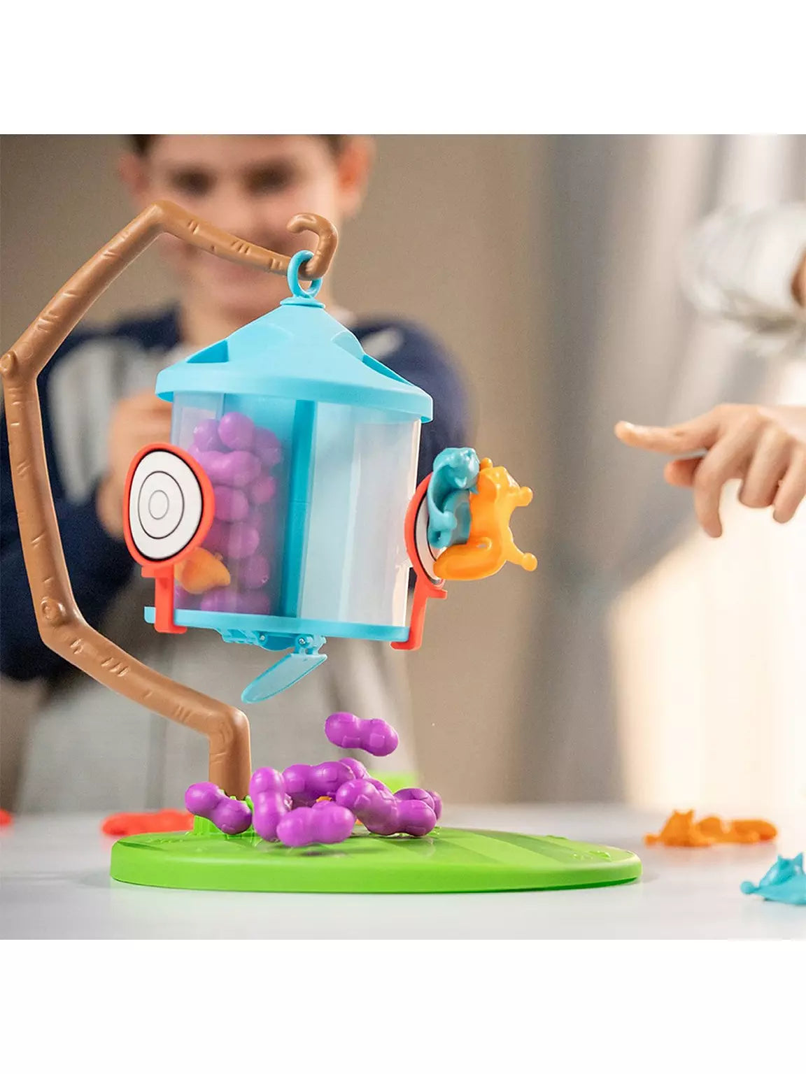 Flying Squirrels Feeder Frenzy