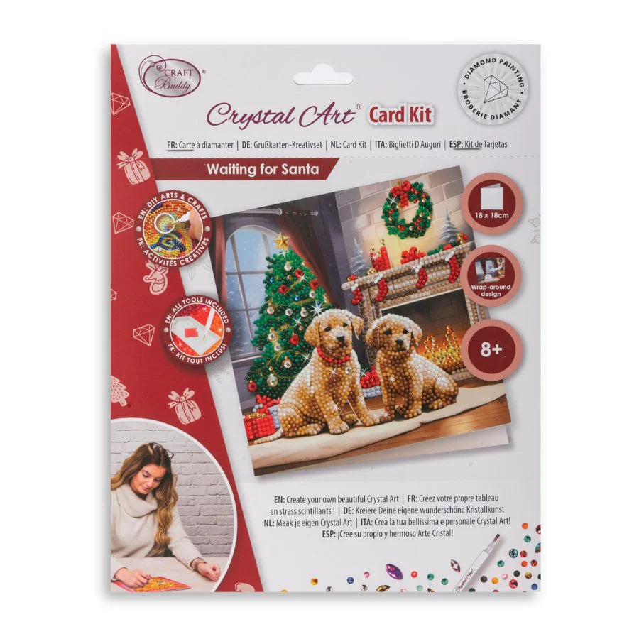 Waiting for Santa, 18x18cm Crystal Art Card