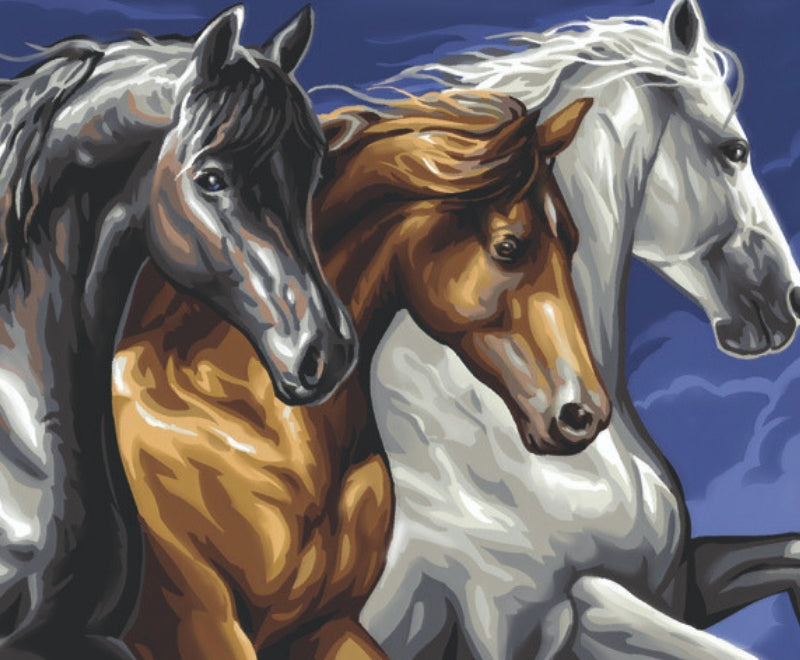 Senior Painting By Numbers Wild Horses