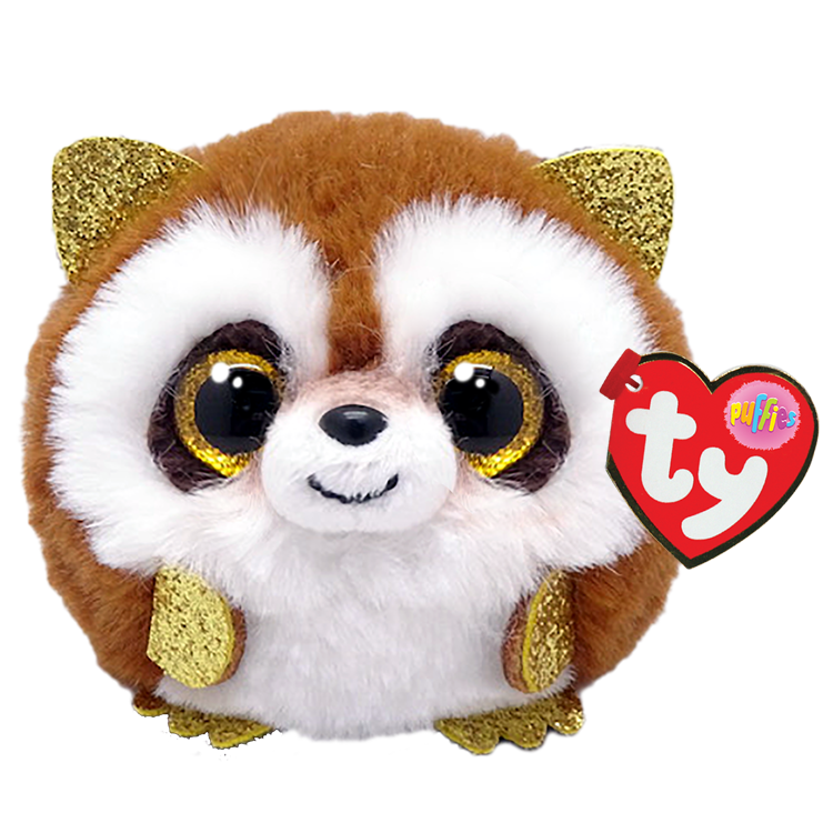 Pickpocket Raccoon