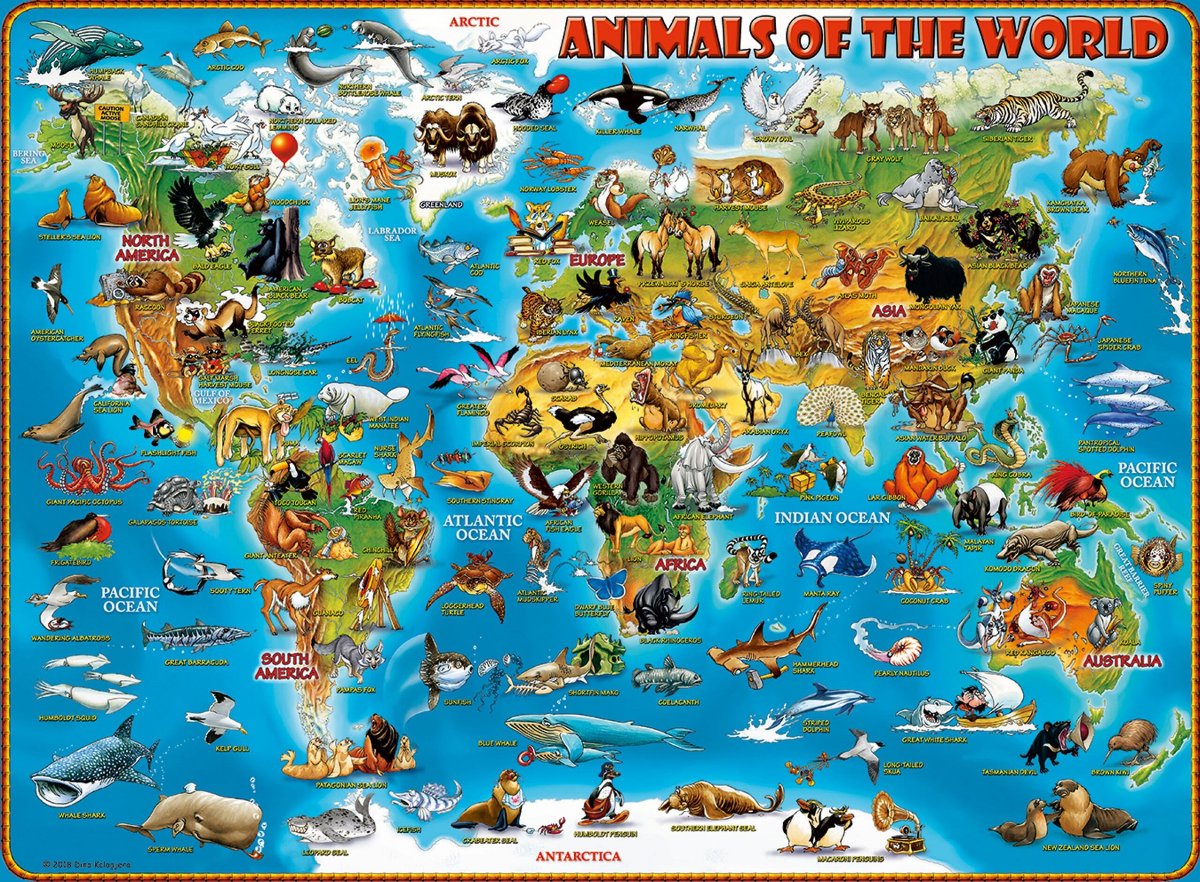Animals of the World, 300pc XXL
