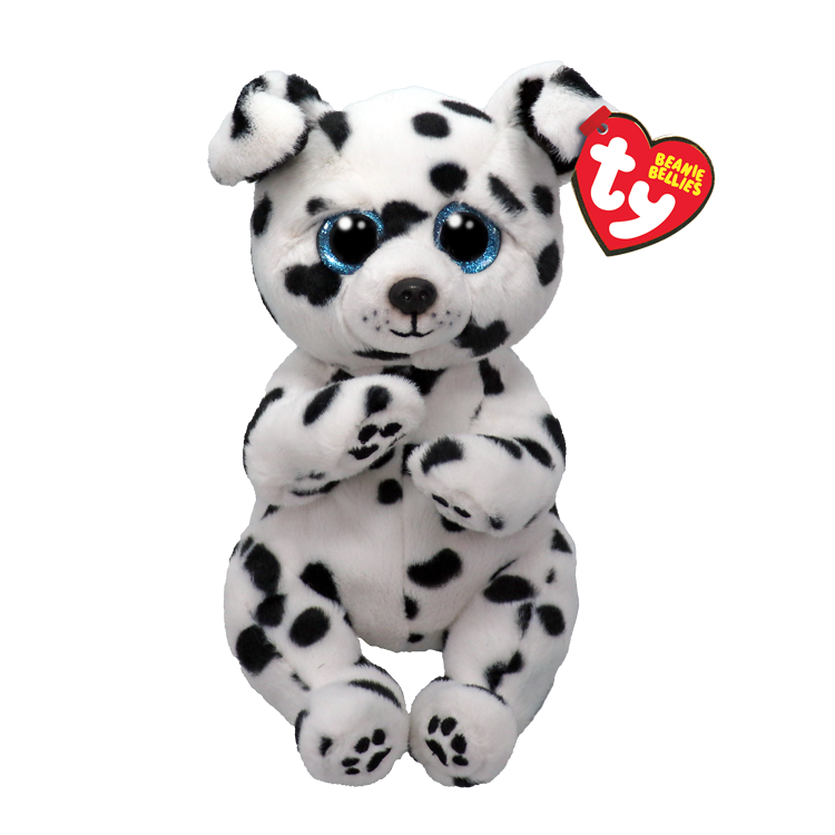 Rowdy the Spotted Dalmation