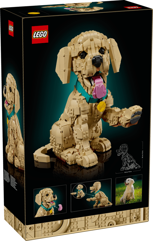 LEGO Icons Golden Retriever Puppy Set 11384
