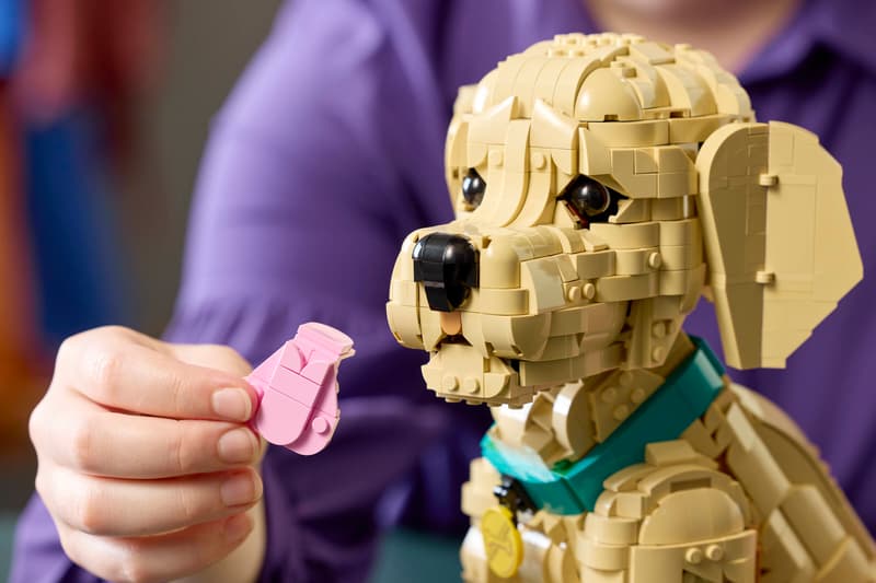 LEGO Icons Golden Retriever Puppy Set 11384