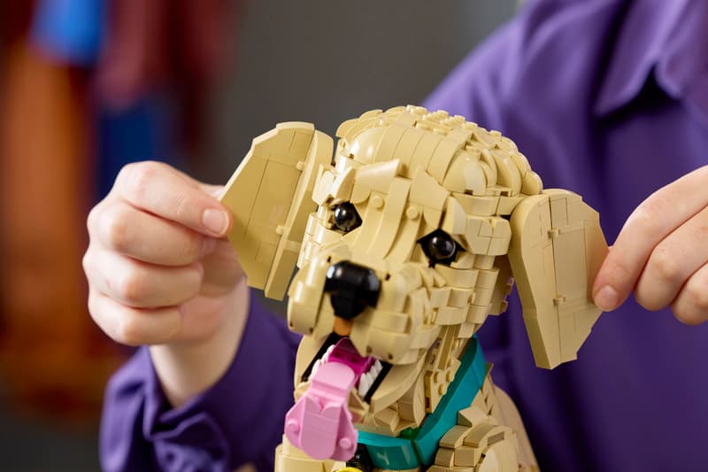 LEGO Icons Golden Retriever Puppy Set 11384