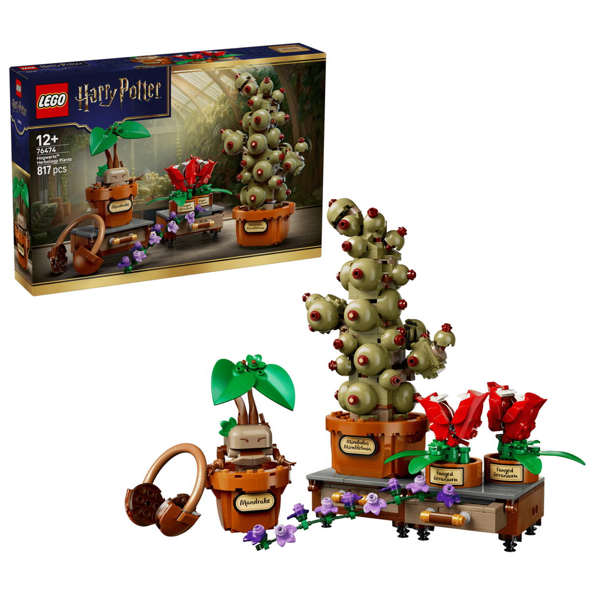 LEGO Harry Potter Hogwarts Castle Herbology Class Building Set 76474