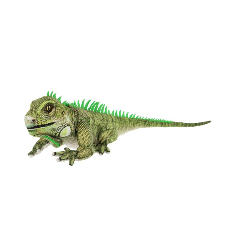 65cm Keeleco Iguana