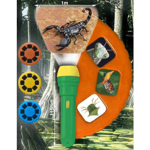 Creepy Crawly Torch & Projector