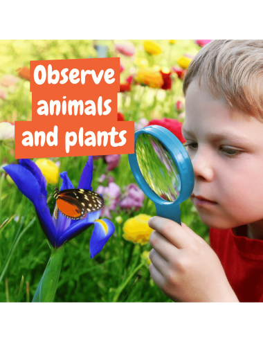 Science 4 You Nature Explorer