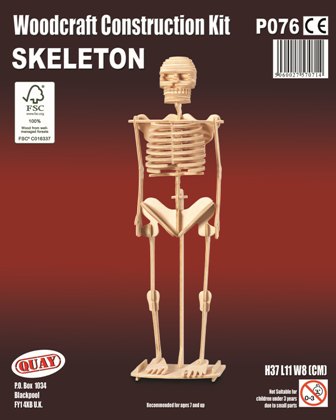 Skeleton