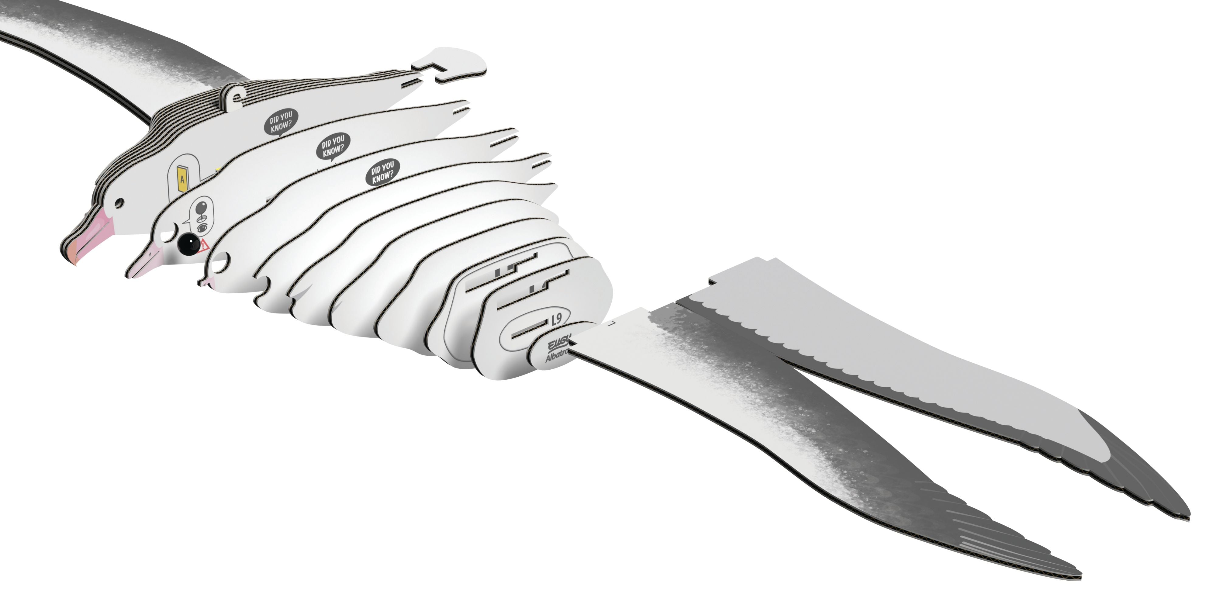 EUGY Royal Albatross