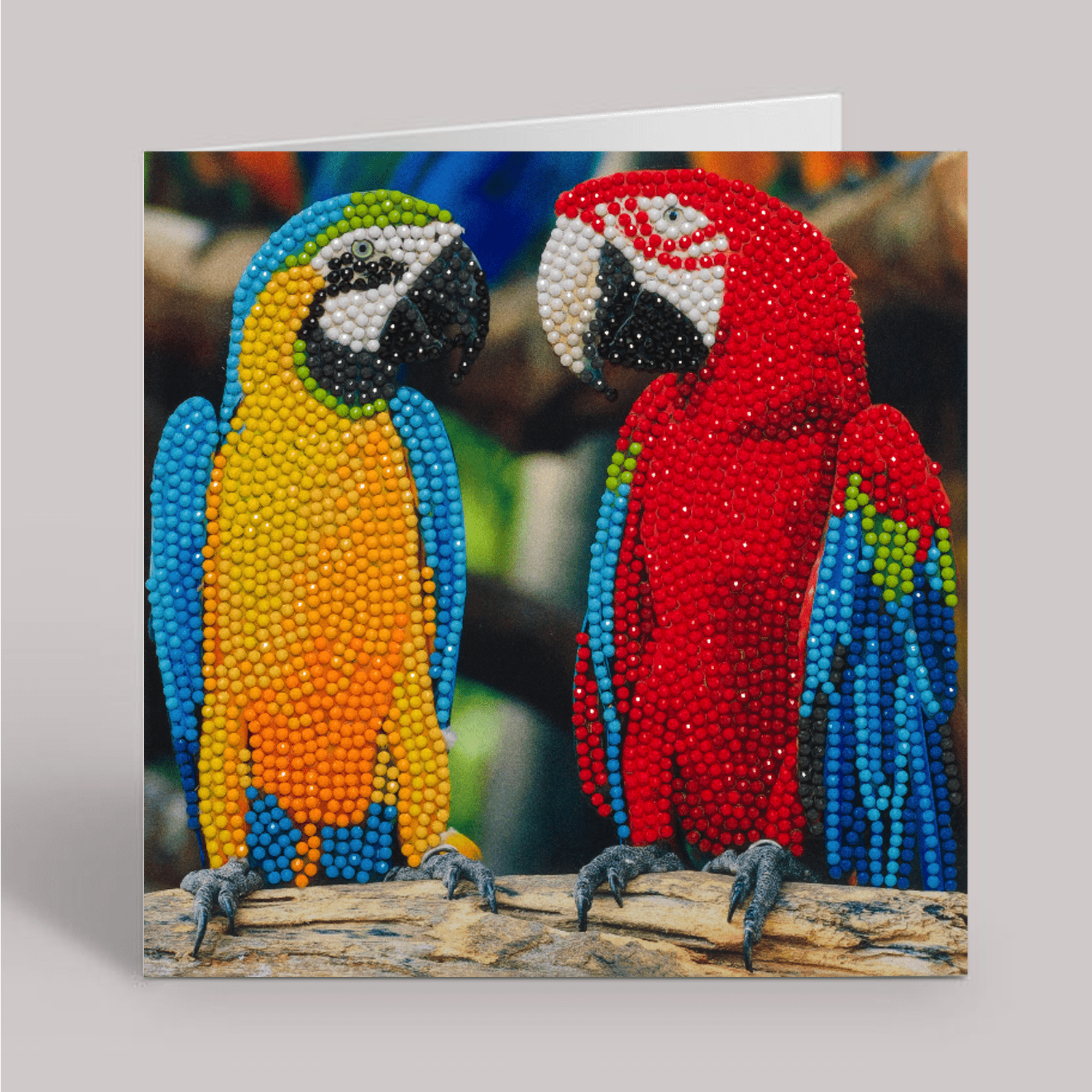 Parrot Friends Crystal Art Card