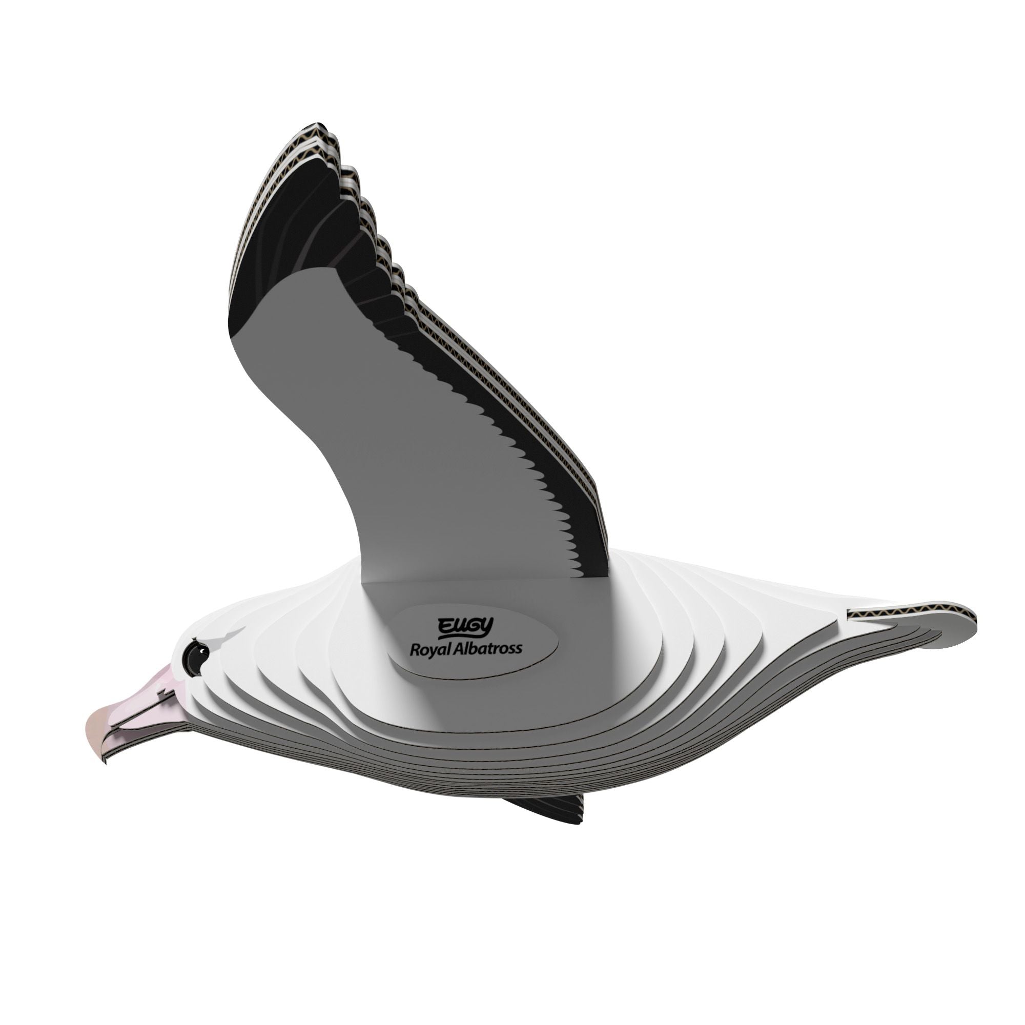 EUGY Royal Albatross