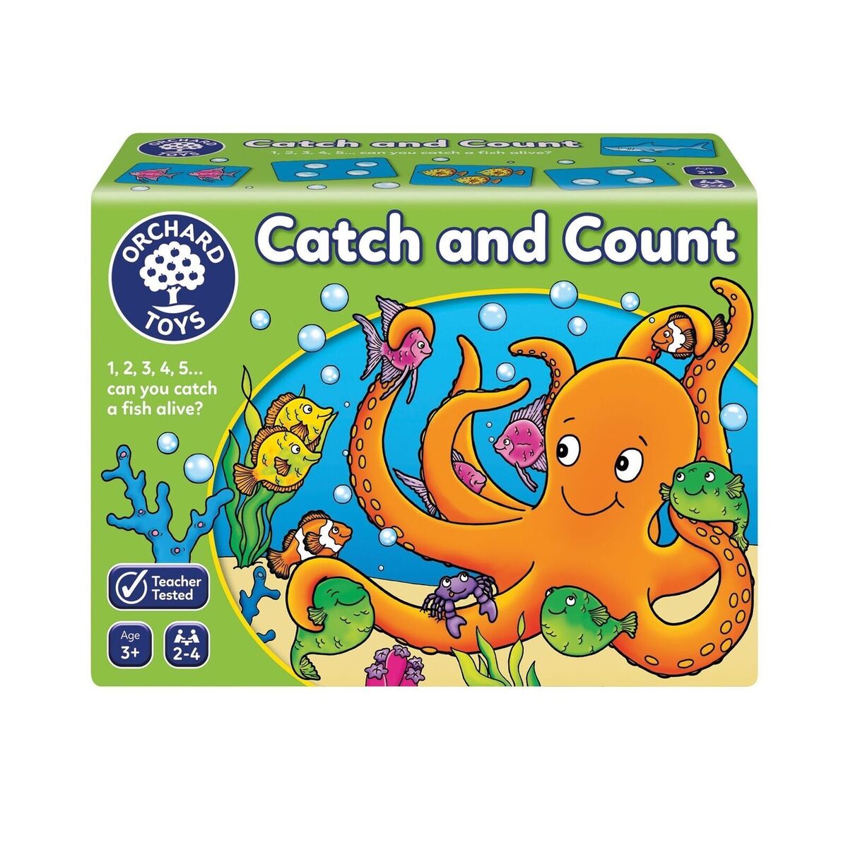 Catch & Count Game