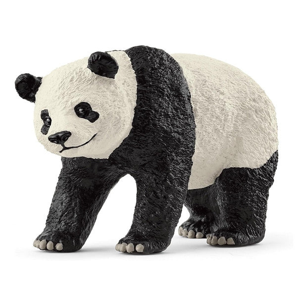 Giant Panda