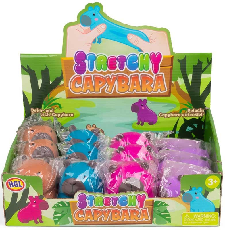 Stretchy Capybara Asst